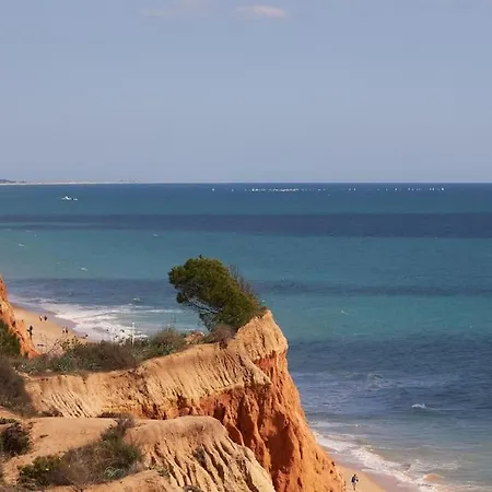 Seaside Serenity Beachside البوفيرا