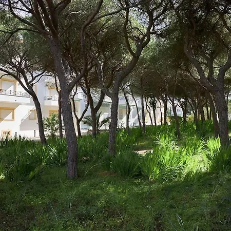 Seaside Serenity Beachside البوفيرا